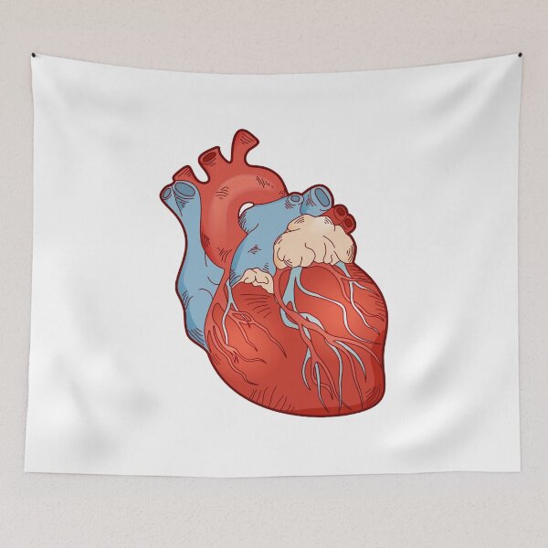Item preview, Human Heart Anatomy Cardiology Illustration.  designed and sold by silviaol.