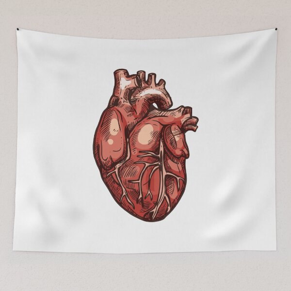 Item preview, Realistic Human Heart Anatomy Cardiology Illustration.  designed and sold by silviaol.