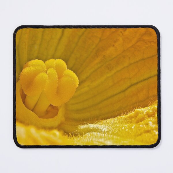 Item preview, Pumpkin Blossom designed and sold by Linda Bianic.