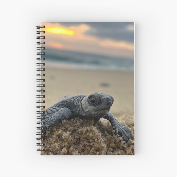 Sea turtle Spiral Notebook