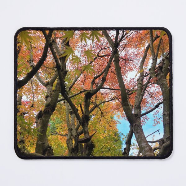 Item preview, Painted leaves designed and sold by J.  Loco Photography.