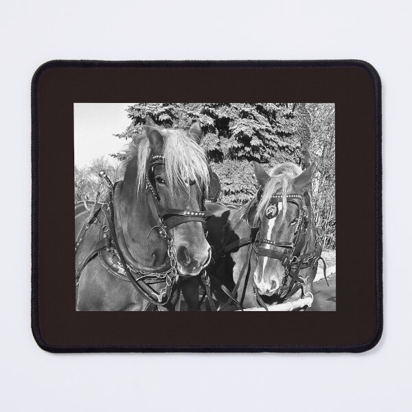 Item preview, Equine Friends designed and sold by Linda Bianic.