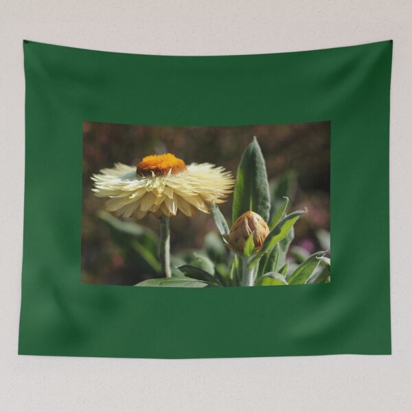 Item preview, Paper daisies designed and sold by Karen Tregoning.