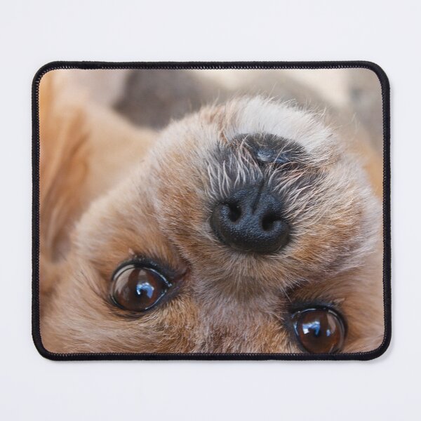 Item preview, Peekin' designed and sold by Linda Bianic.