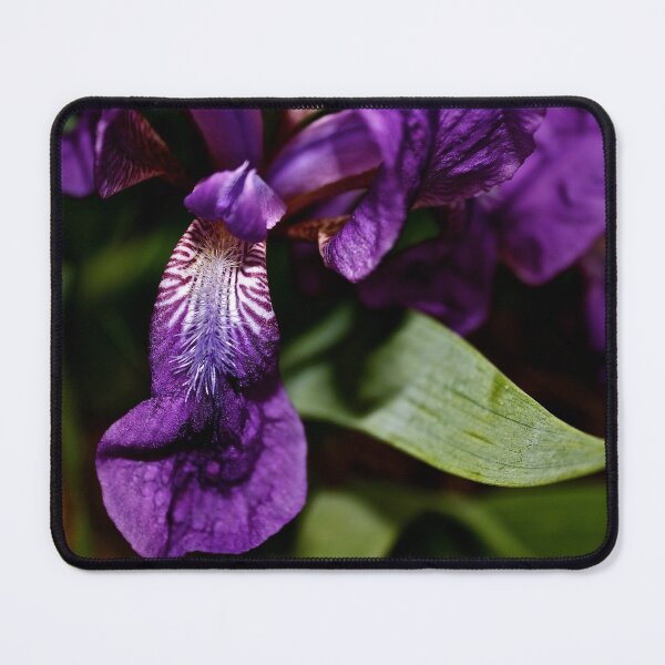 Item preview, Call Me Iris designed and sold by Linda Bianic.