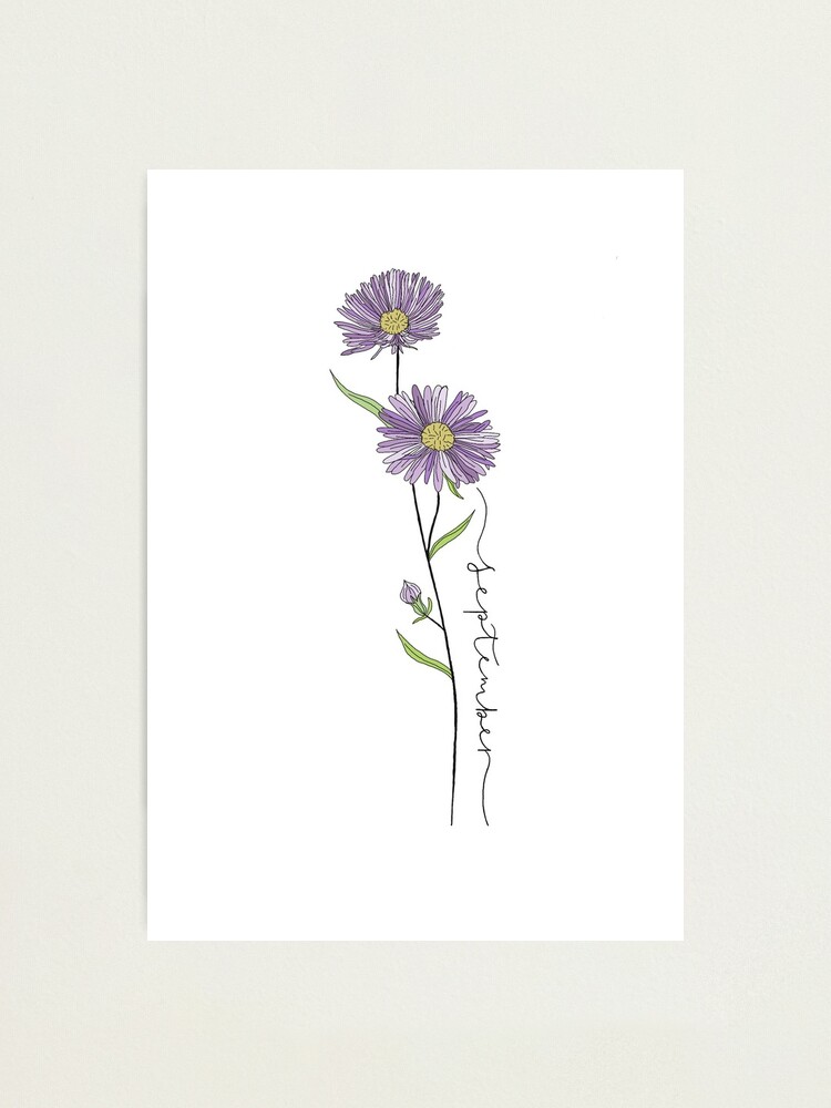 September Birth Flower Tattoo Ideas The Aster  Tattoo Glee