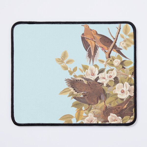 Item preview, Audubon's Carolina Pigeon / Turtle Dove designed and sold by Candice Davis.
