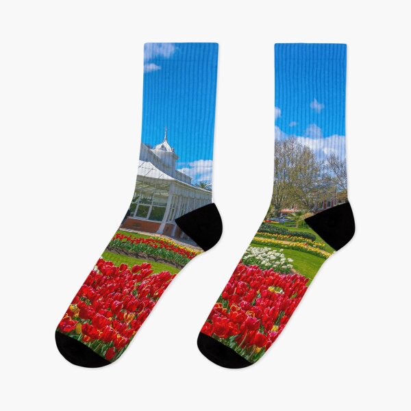 Item preview, Springtime at the Conservatory 2021 designed and sold by Steven Jodoin.