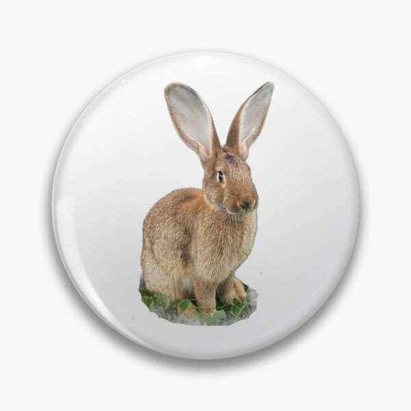 Item preview, Flemish giant designed and sold by Hezzyuk.
