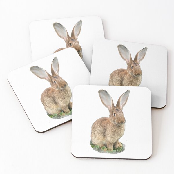 Item preview, Flemish giant designed and sold by Hezzyuk.