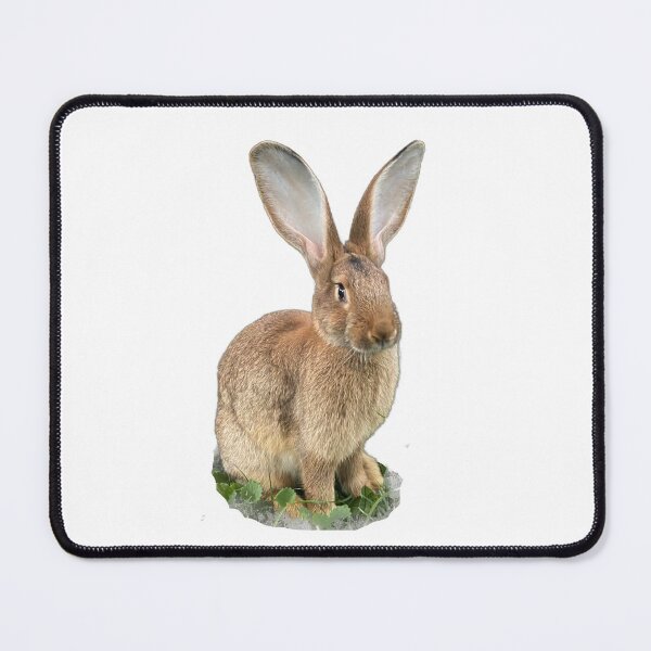 Item preview, Flemish giant designed and sold by Hezzyuk.