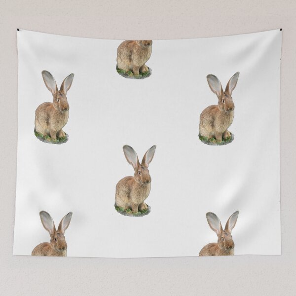 Item preview, Flemish giant designed and sold by Hezzyuk.