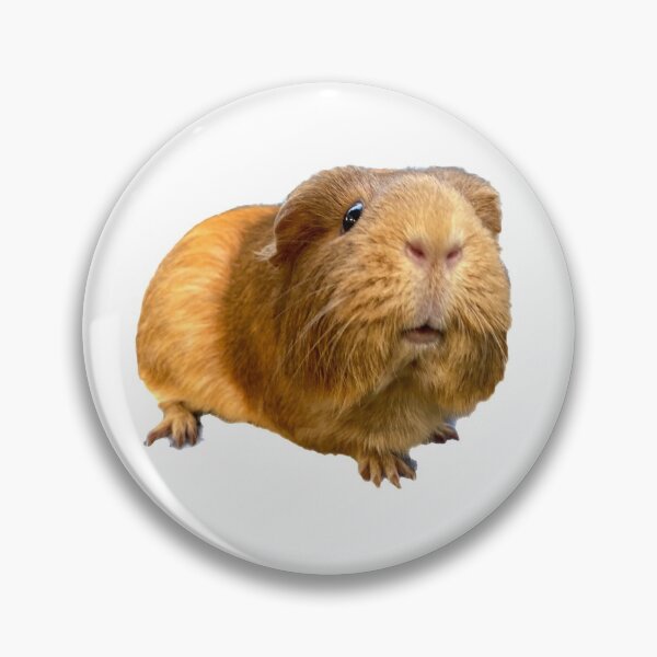 Item preview, ginger guinea pig designed and sold by Hezzyuk.