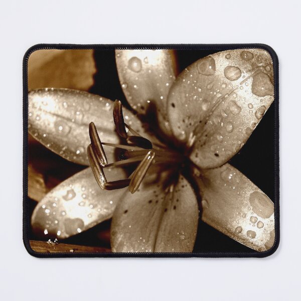 Item preview, BRONZED - 3 designed and sold by Linda Bianic.