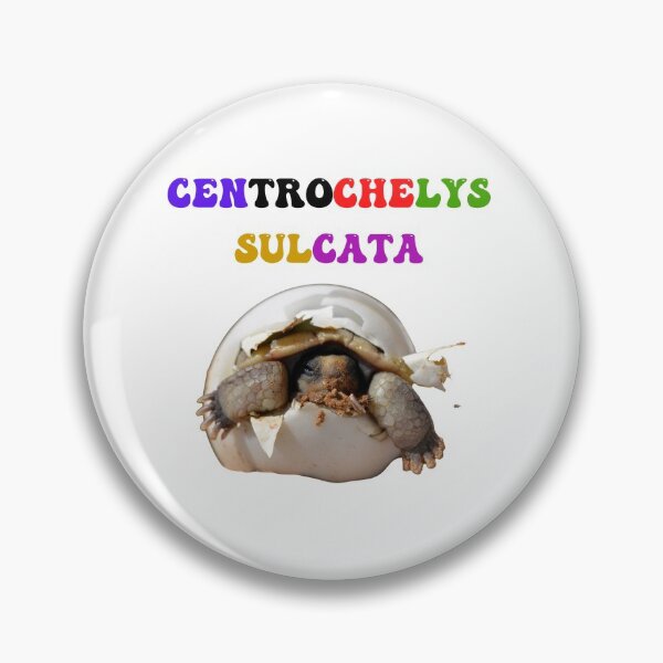 Item preview, Centrochelys Sulcata designed and sold by Chrisblazestore.