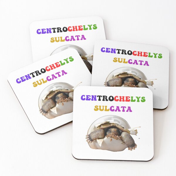 Item preview, Centrochelys Sulcata designed and sold by Chrisblazestore.