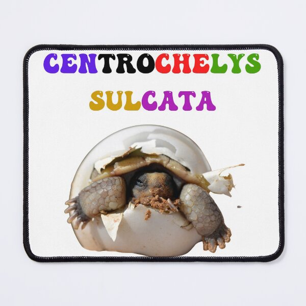 Item preview, Centrochelys Sulcata designed and sold by Chrisblazestore.