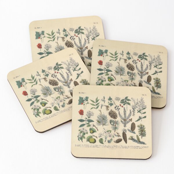 Item preview, 1886 Vintage Illustration of Forest and Fruit Trees and Plants.  designed and sold by Gin  Neko.