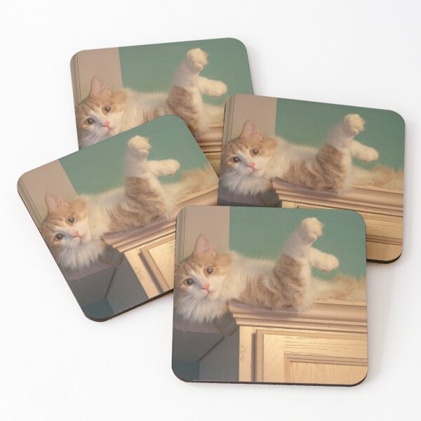 Item preview, Emery the Cat on top of a Kitchen Cabinet designed and sold by PaulKPhoto.