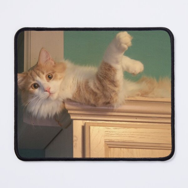 Item preview, Emery the Cat on top of a Kitchen Cabinet designed and sold by PaulKPhoto.