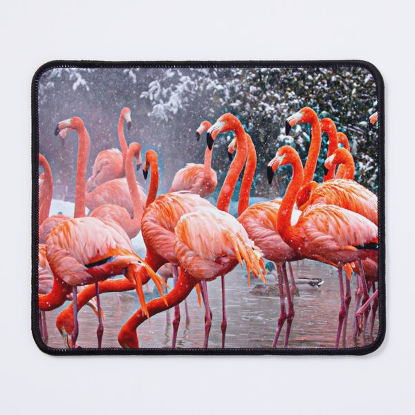 Item preview, Flamigos are Amazing designed and sold by Craft DartCO.