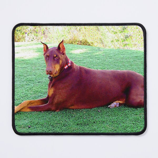 Item preview, Doberman Dog - Sky designed and sold by Carlo Varo.