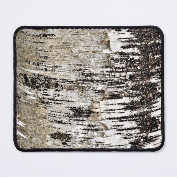 Item preview, Peeling Birch Bark Tree Photography designed and sold by DeannesStore.