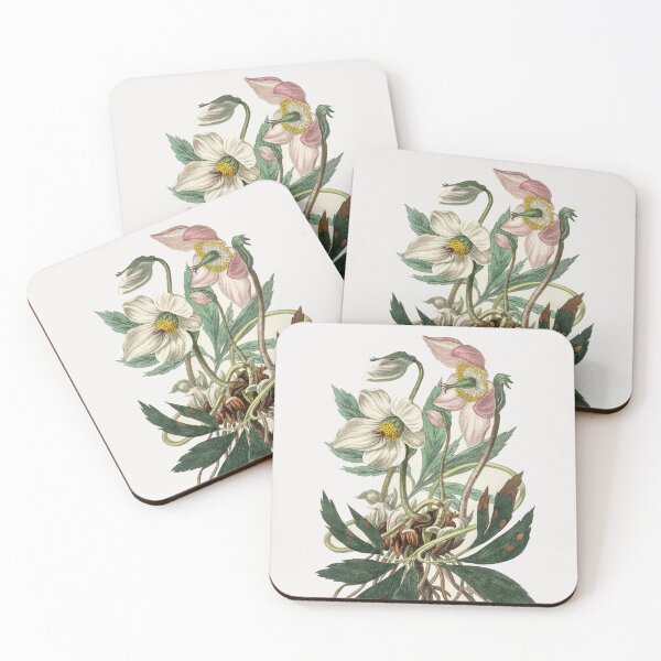 Item preview, Helleborus designed and sold by ZinZoe.