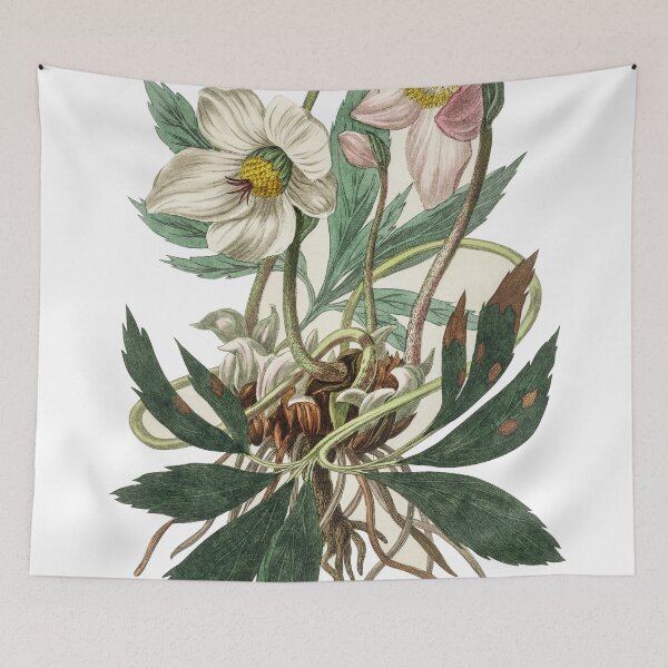 Item preview, Helleborus designed and sold by ZinZoe.