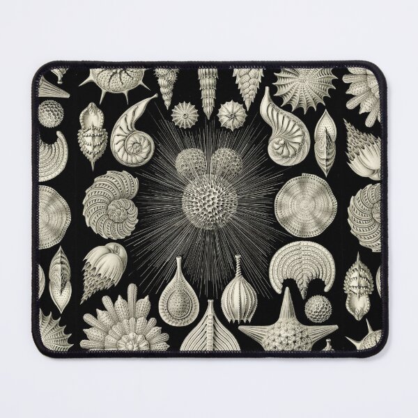 Item preview, Ernst Haeckel - Kunstformen der Natur (1904) Thalamphora Foraminifera Illustrated Plate 2 designed and sold by Gin Neko.