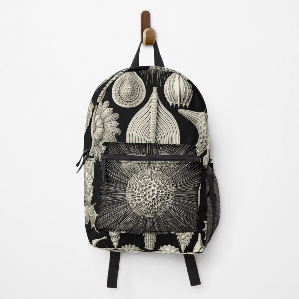 Item preview, Ernst Haeckel - Kunstformen der Natur (1904) Thalamphora Foraminifera Illustrated Plate 2 designed and sold by Gin  Neko.