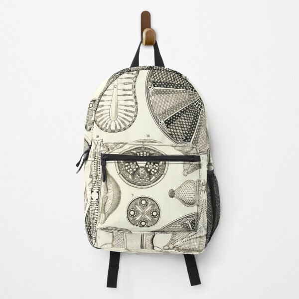 Item preview, Ernst Haeckel - Kunstformen der Natur (1904) Diatomea designed and sold by Gin  Neko.