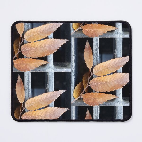 Item preview, Balanced: Leaves fallen on a city grate designed and sold by Jeanne Kramer-Smyth.
