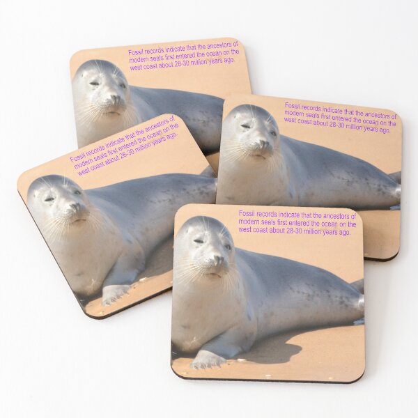 Item preview, Ocean Seal Art designed and sold by Alicefish.