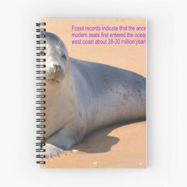 Item preview, Ocean Seal Art designed and sold by Alicefish.