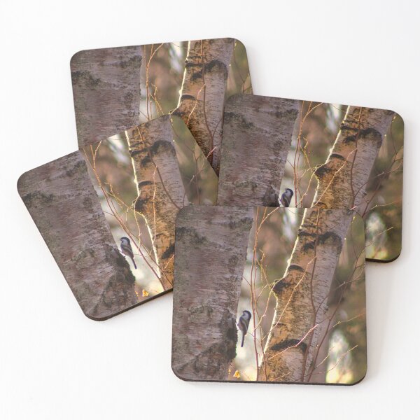 Item preview, Chickadee on Birch designed and sold by jenstever.