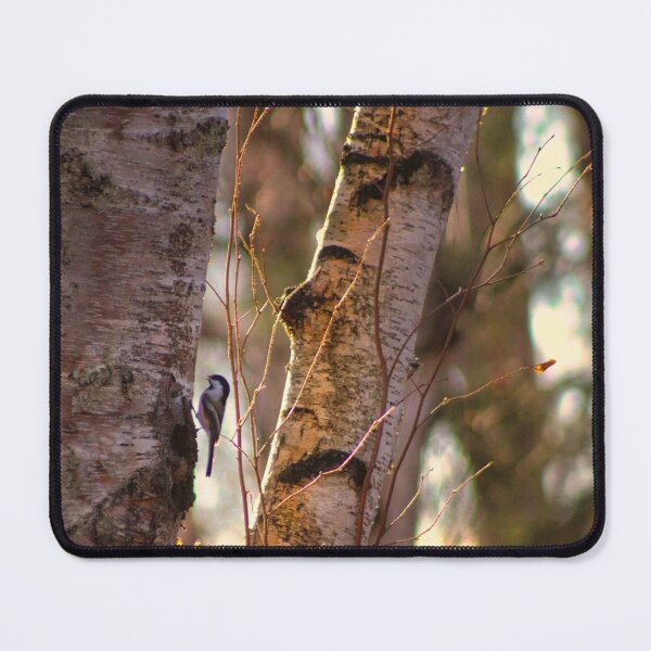 Item preview, Chickadee on Birch designed and sold by jenstever.