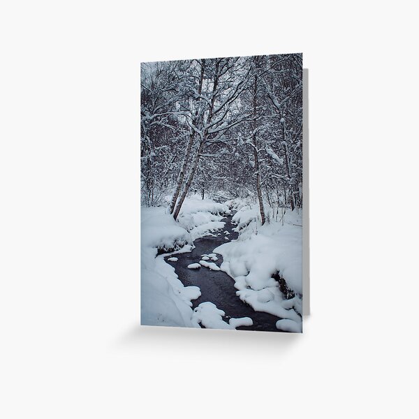 Winter Creek Greeting Card