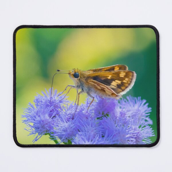 Item preview, Skipper Butterfly Feeding on Purple Flower designed and sold by dlamb.
