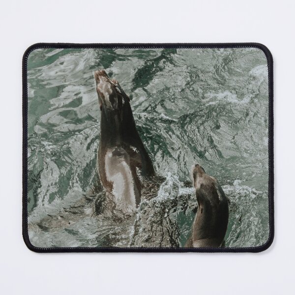 Item preview, Two Seals Playing in the Water designed and sold by ElanUlv.