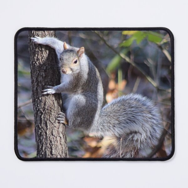 Item preview, TREE HUGGER designed and sold by BOLLA67.