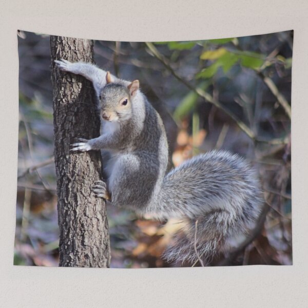 Item preview, TREE HUGGER designed and sold by BOLLA67.