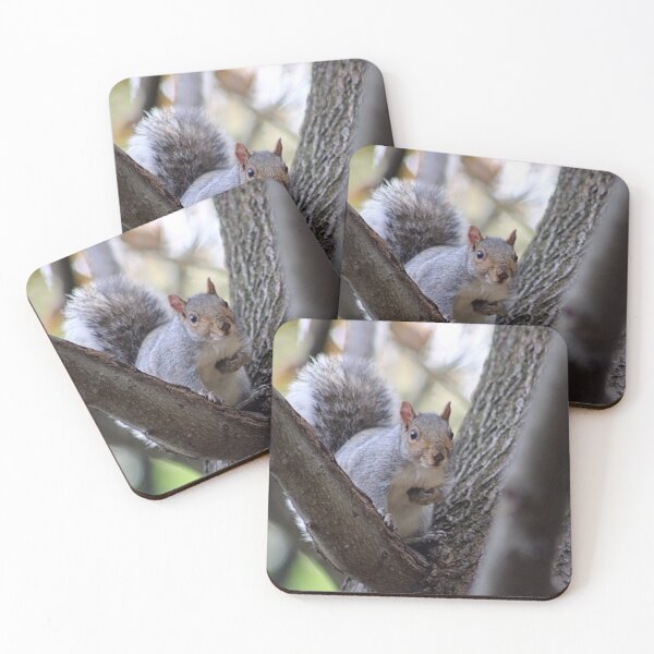 Item preview, THE WEDGE designed and sold by BOLLA67.