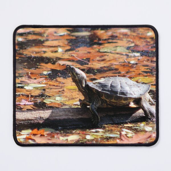 Item preview, CLIMBING OUT designed and sold by BOLLA67.