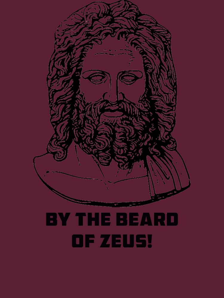 "Beard of Zeus!" Tshirt by Jumpman666 Redbubble