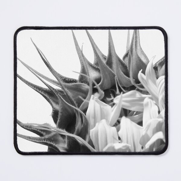 Item preview, Sunflower Dawn designed and sold by Siene Browne.