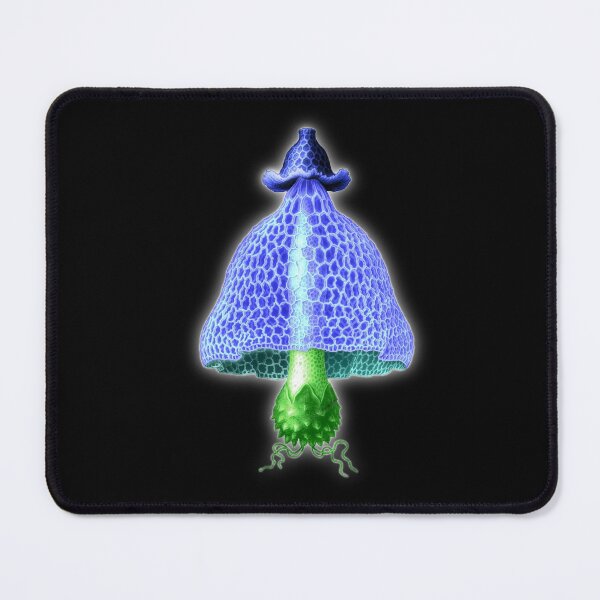 Item preview, Simblum sphaerocephalum , the strange world of fungi designed and sold by Floradigital.