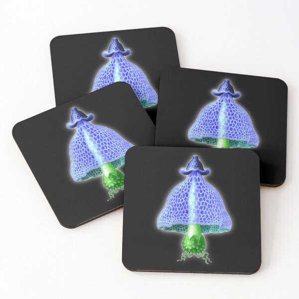 Item preview, Simblum sphaerocephalum , the strange world of fungi designed and sold by Floradigital.