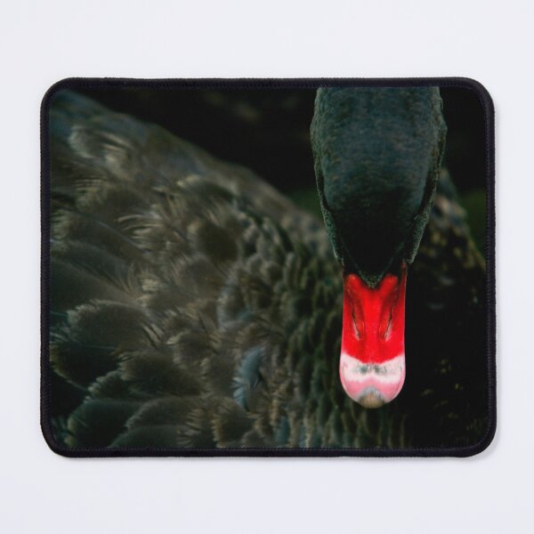 Item preview, Swan designed and sold by Janos Sison.