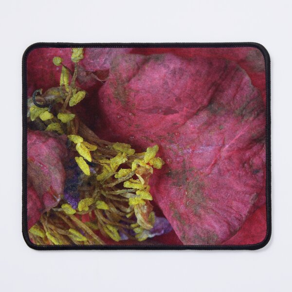 Item preview, Faded Lady designed and sold by Siene Browne.